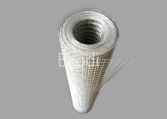 Hot Dipped Galvanized Welded Wire Mesh Fabric Rolls 30m Length 1m High