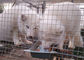 Anti Corrosion Wire Mesh Hardware Cloth Galvanizing Finish For Animal Cage