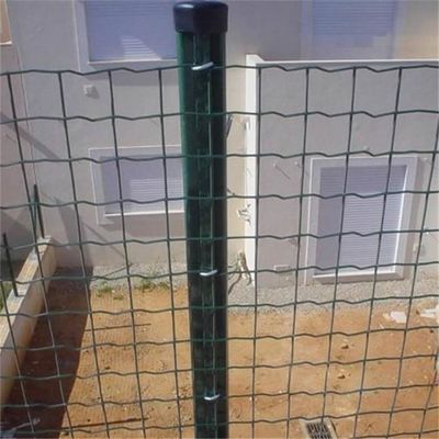 Galvanized PVC Coated Euro Style Steel Fence Holland Wire Mesh Fence for Gardens Parks