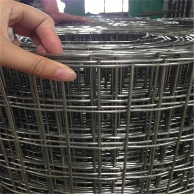 Rust Proof Galvanized 50*50mm Welded Wire Mesh Fence 1/4 Inch Hole Square Steel Weld Mesh by Manufacturer Wholesale Prices