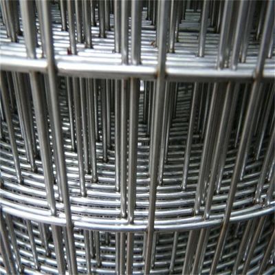 Customizable 4ftx50ft Galvanized Welded Wire Mesh Chicken Bird Cage Wire Mesh
