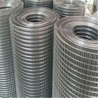Hot Dipped Galvanized Fencing Netting 10 Gauge Steel Welded Wire Mesh for Animal Pet Cages