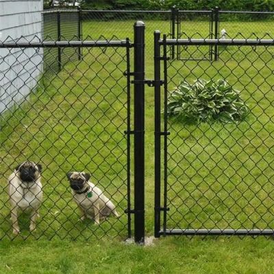 3.0mm Galvanized Chain Link Fence Pvc Coated Cyclone Fence Panels Easy Installation