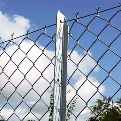8ft Height Galvanized Chain Link Fence Zoo Wire Mesh For All Animals