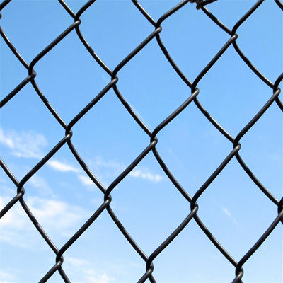PVC Coated Green Chain Link Fence Welded Iron Wire Mesh for Garden Outdoor