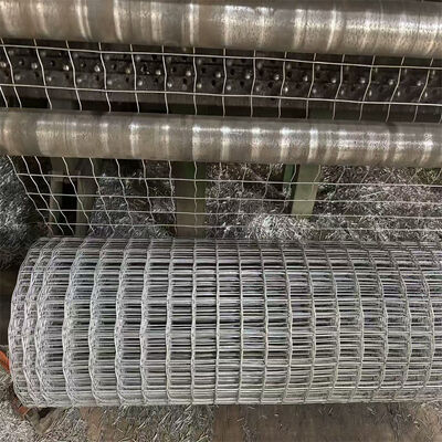 Galvanized Welded Wire Mesh Chicken Fencing Trellis Mesh Iron Netting for Animal Pet Cages