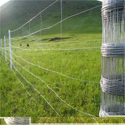 Galvanized Durable Iron Wire Mesh Modern Fence for Yard and Livestock Farm Cattle with Metal Frame