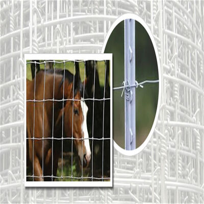 High Quality Field Fence to Feed Cattle in Agriculture Farm and Grassland Also As Barriers Against Deer and Wild Animals