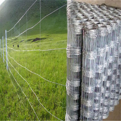 High Quality Livestock Fence for Sheep Farm/Cattle Field/deer Wire Mesh Fence Galvanized, Goat Fence