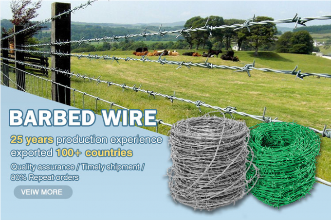 Different Types 2.5mm Galvanized Barbed Razor Wire Construction Protecting Mesh 0