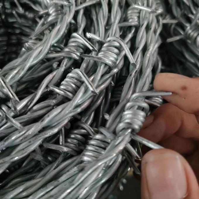 Different Types 2.5mm Galvanized Barbed Razor Wire Construction Protecting Mesh 5