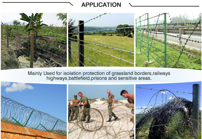 Different Types 2.5mm Galvanized Barbed Razor Wire Construction Protecting Mesh 14