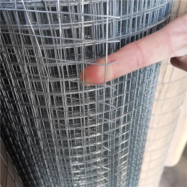 1/2x1 1x1 Hot Dip Galvanized Iron Welded Wire Hardware Cloth Mesh Rolls/ 16 Gauge Electro Galvanized square Hole Welded Mesh 3