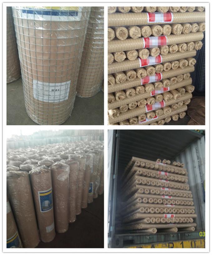 5-50m Lenghth BWG12 PVC Welded Wire Mesh Rolls For Rabbit Cages Chicken Coop 9