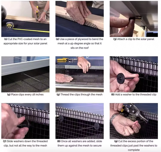 Black PVC Coated Welded Wire Fence Square 1/2 Galvanized Welded Wire Mesh in Roll 7