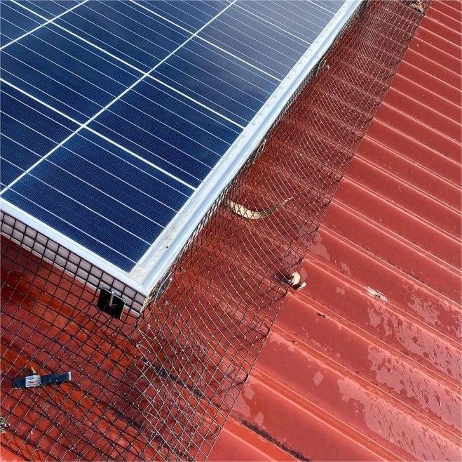 Black PVC Coated Welded Wire Fence Square 1/2 Galvanized Welded Wire Mesh in Roll 10