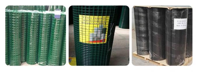 BWG8-BWG26 Green Powder Coated PVC Welded Wire Mesh Rolls 25mmx25mm 9