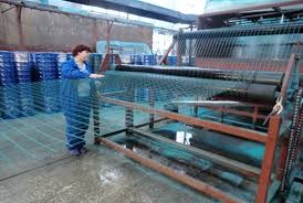 10m-100m Decorative Welded Wire Fence Galvanized Welded Wire Garden Fence OEM 0