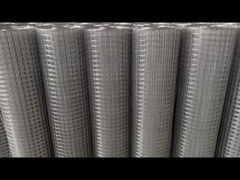 Galvanized Welded Wire Mesh