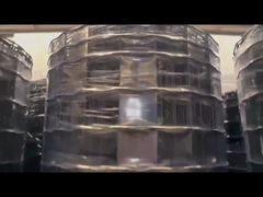 PVC Euro Wire Mesh Fence